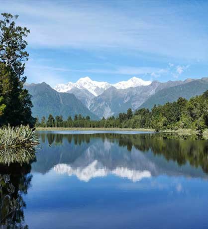 Study in Newzealand